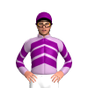 Jockey Silk