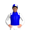 Jockey Silk
