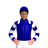 Jockey Silk