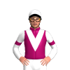 Jockey Silk