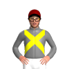 Jockey Silk