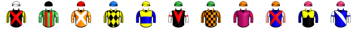 Runner silk