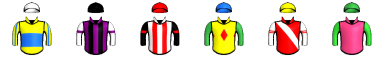 Runner silk