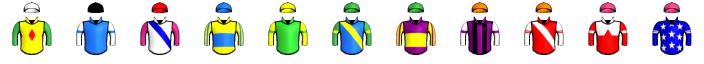 Runner silk