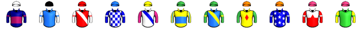 Runner silk