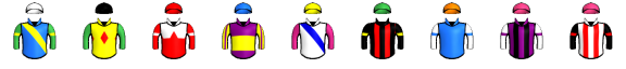 Runner silk