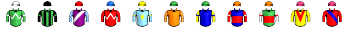 Runner silk