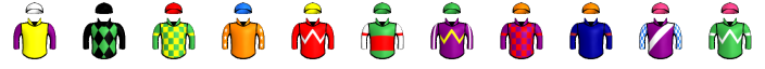 Runner silk
