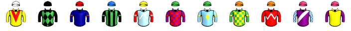 Runner silk