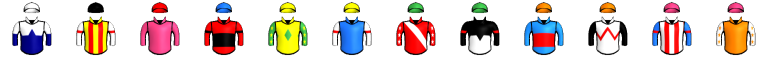 Runner silk