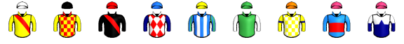 Runner silk