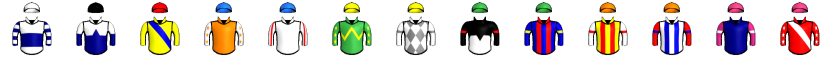 Runner silk