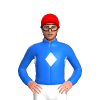 Jockey Silk