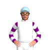 Jockey Silk