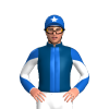 Jockey Silk