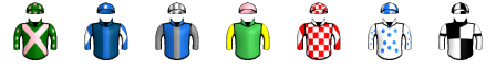 Runner silk