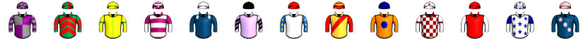 Runner silk