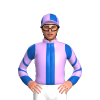 Jockey Silk