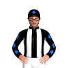 Jockey Silk
