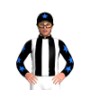 Jockey Silk