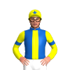 Jockey Silk