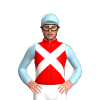 Jockey Silk