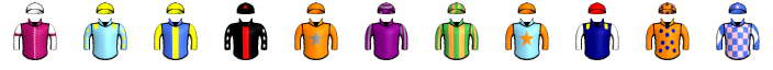 Runner silk
