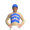 Jockey Silk