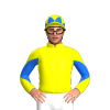 Jockey Silk