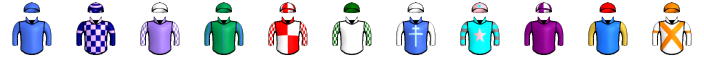 Runner silk