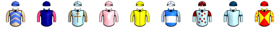 Runner silk