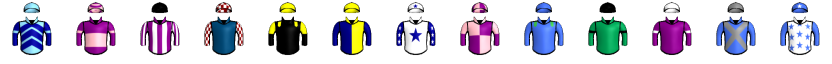 Runner silk