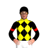 Jockey Silk
