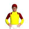 Jockey Silk
