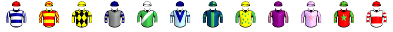 Runner silk