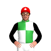 Jockey Silk