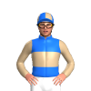 Jockey Silk
