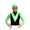 Jockey Silk