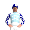 Jockey Silk
