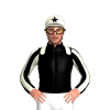 Jockey Silk