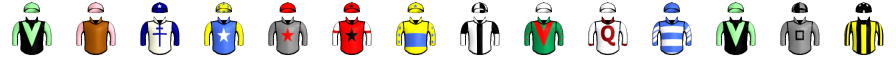 Runner silk