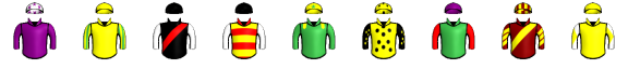 Runner silk