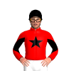 Jockey Silk