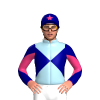 Jockey Silk