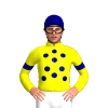 Jockey Silk