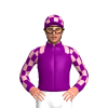 Jockey Silk