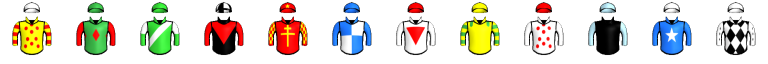 Runner silk