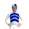 Jockey Silk