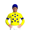 Jockey Silk