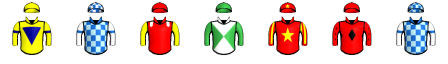 Runner silk